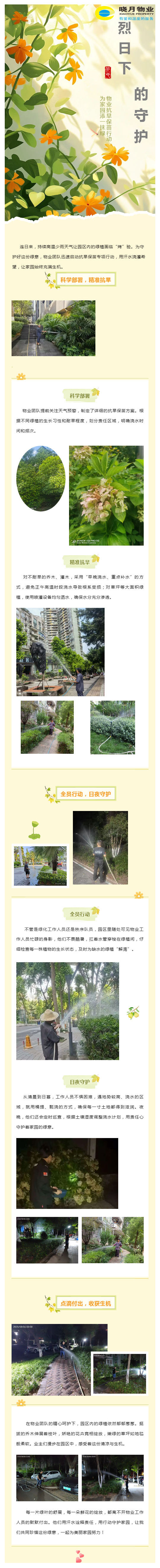 “蒸”战高温的物业人丨烈日下的守护:晓月物业抗旱保苗行动,为家园添一抹绿_壹伴长图1.jpg